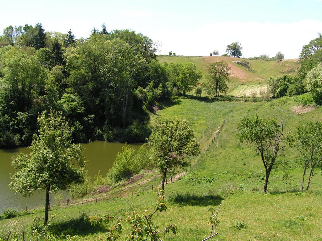 Gite De Carbonies Saint-Félix-de-Lunel Exterior foto